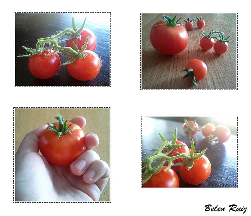 tomates cherry y raf